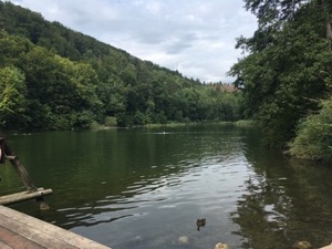 View across the small Agelsee in the woods