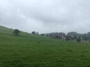 View over fields at the top of the Albis pass in the rain.