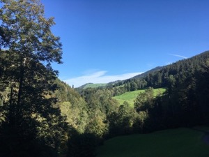 Wood covered rolling hills under a bright blue sky