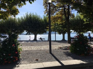 View through trees to see the Zuggersee lake