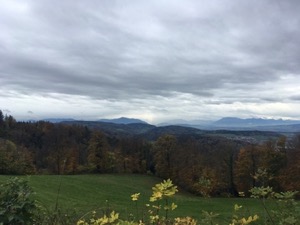 View over fields and woods under a grey sky.