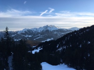 View over the Rhein valley to Piz Fess