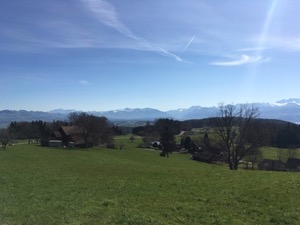 Green fields and farmhouses under a blue sky with snow covered mountains in the background.