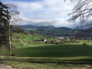 Wooden Swiss farm buildings in green fields