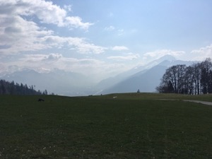 Grassy alpine meadows with sun covered mountains in the background