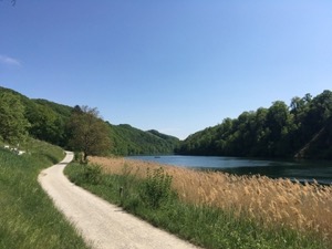 Rhein river surrounded by green hills, rushes and gravel path in the foreground.