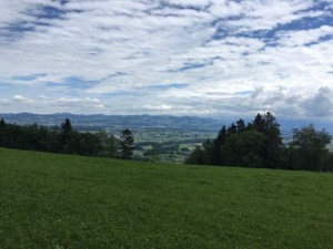 Green fields with trees in mid-distance. Scattered clouds