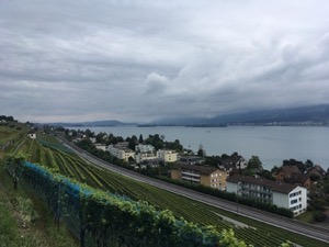 View over Zurisee, cloudy