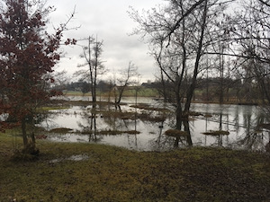 Small lake with badi, slightly overflowing. Grey skies, bare trees.