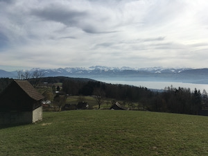 View over the Zurisee, with the alps in the background. Slightly cloudy day