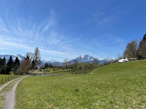 Green fields under bright sunshine with snow-capped Pilatus in the background.