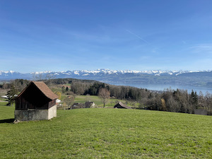 Fields and barn in foreground, Zurisee and Alps in the background.