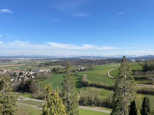 View from the top of Regensburg over green fields under blue skies. Snow capped Alps visible in the distance.