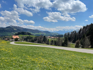 Road winding down green hillside, under blue skies with fluffy clouds