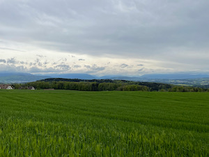 Crop fields under grey cloudy sky. Mountains half obscured in the background.