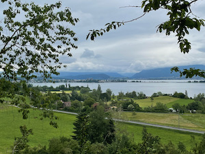 Zurisee under a cloudy sky framed by woods and green hills.