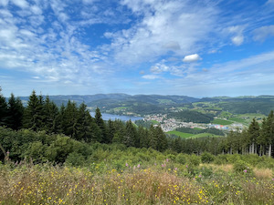 View over forests down to Titisee in Schwarzwald.