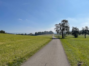 Green fields on either side of a road in sunshine. Mountains partly visible in the haze in the distance.