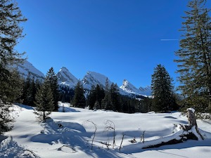 Snow-capped Churfirsten mountains, framed by snow covered trees.