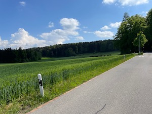 Green fields, road through trees.