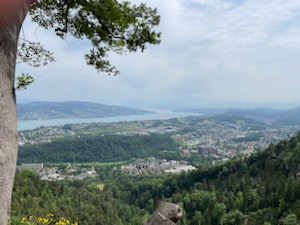 View over the Zurisee from the Albis ridge.