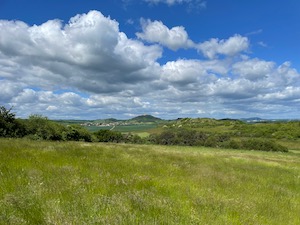 View out across open fields, Holzhausen castle on the hilltop in the distance.