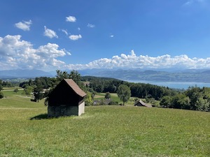 Hut in grass field, overlooking the Zurisee and with the Alps in the background.