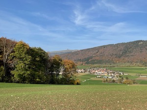 View over fields and woods, looking up at the broadcast tower on top of Chasseral