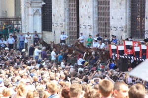 Horses being chosen in the Palio