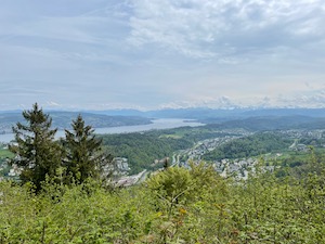 View down the Zuerichsee from the Restaurant Felsenegg.