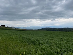 Rigi and Pilatus hidden in low grey cloud.