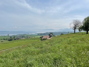 Slightly hazy view over green fields down to the Zurichsee, with mountains in the background.