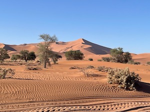 Dunes in the Namib dessert