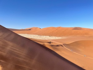 Looking down on Deadvlei from half way up a dune.