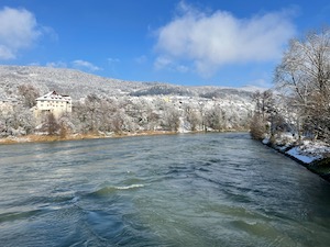 Snow covered trees alongside the Aare river.