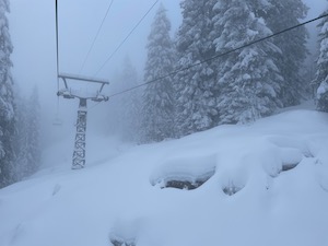 Snow covered trees and chair lift, viewed though fog/cloud.