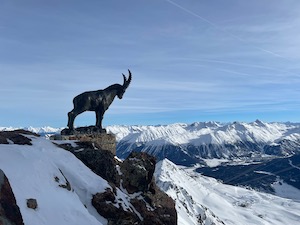 Statue of Graubünden's Alpine Ibex against snow covered mountains.