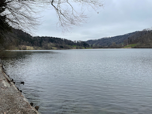 Grey sky over grey lake, trees on the far shore.