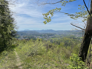 View over the Baden valley, blue skies, trees in foreground.