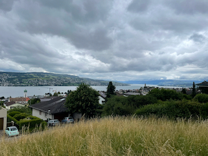 View over the Zürichsee under low grey clouds. Meadow in the foreground