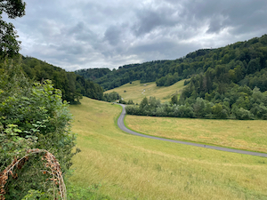 Track winding through the green grass in a gentle valley. Dark skies.