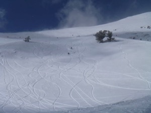 Our Tracks in Sister's Bowl, with Kev and Vanessa on the way down