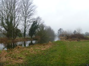 View along the river Stour at Dedham - Willows over misty river