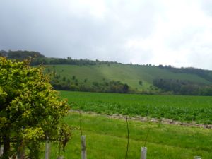 View of Walbury Hill and Combe Gibbet