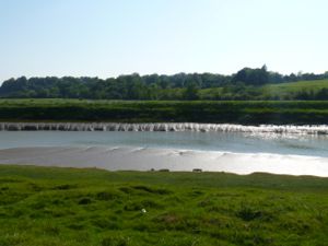 Tidal river viewed over fields.