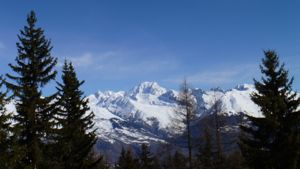 Mont Blanc viewed through a gap in the trees