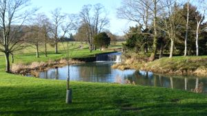 River gently winding through trees, green grass banks.