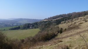 Rolling hillside, fields in the valley.