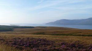 View over heather towards Islay from Jura