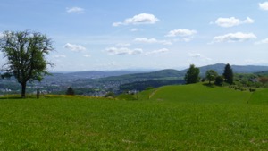 View over the green rolling hills back towards Zurich